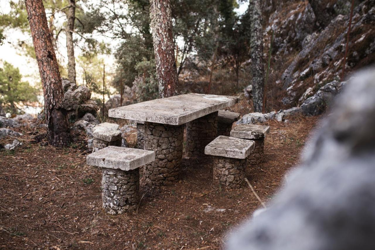 Tajorodillo Campingplatz *