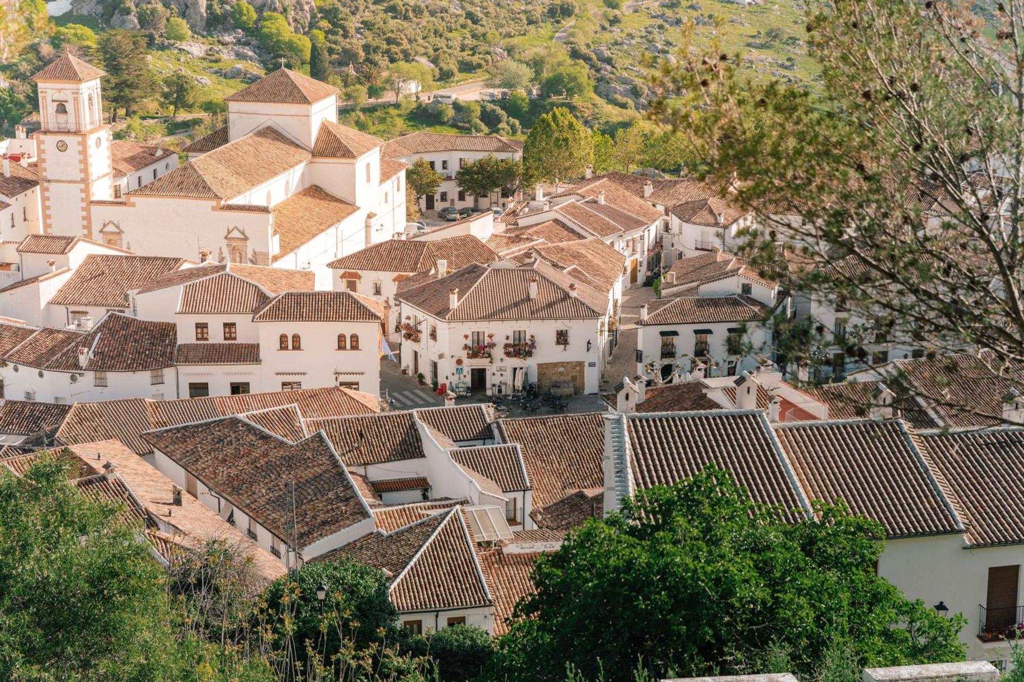 Tajorodillo Grazalema